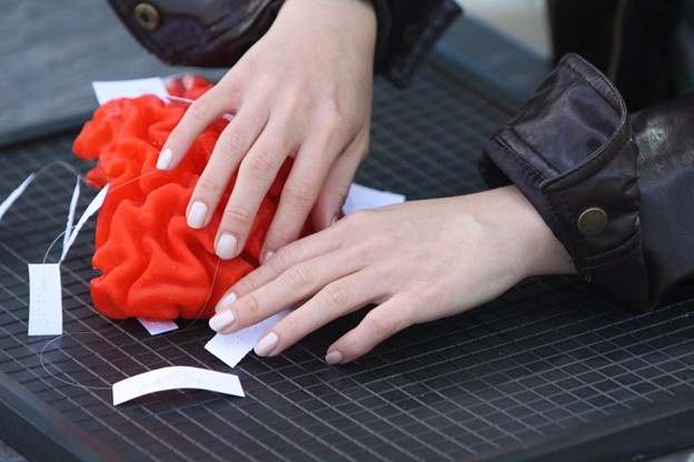 Hands touching 3D printed brain