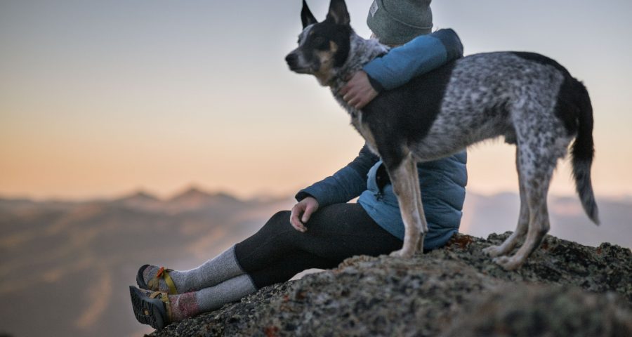 Person hugging dog with one arm while seated in a mountain