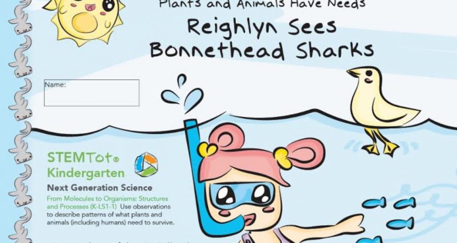 Book cover from "Reighlyn Sees Bonnethead Sharks". Girl snorkeling under the sea with fishes.