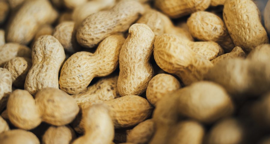 Peanuts with shell